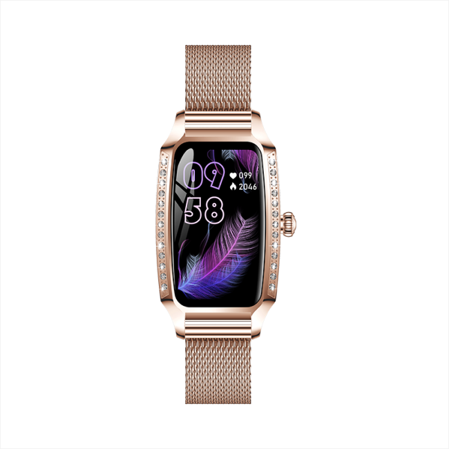 Bizoule Smartwatch Bellesita